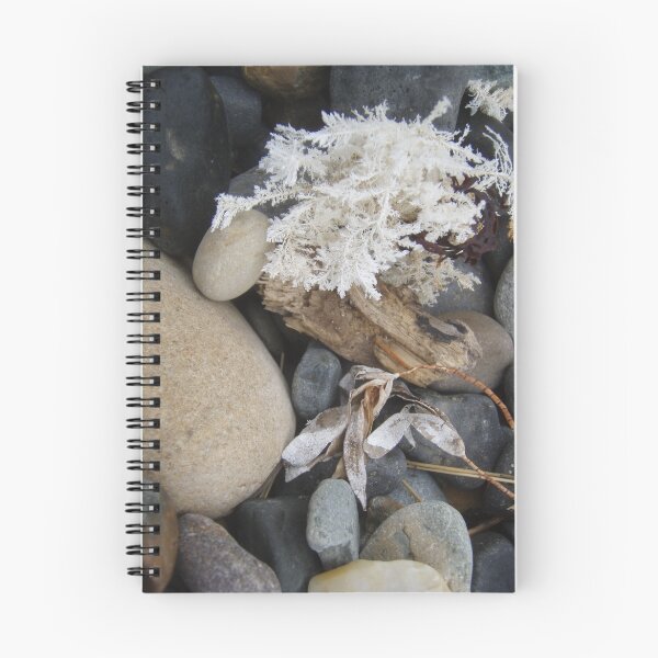 Item preview, beach flotsam and jetsum - liked the contrasts in colours/shapes/textures designed and sold by Gaylene Norton.