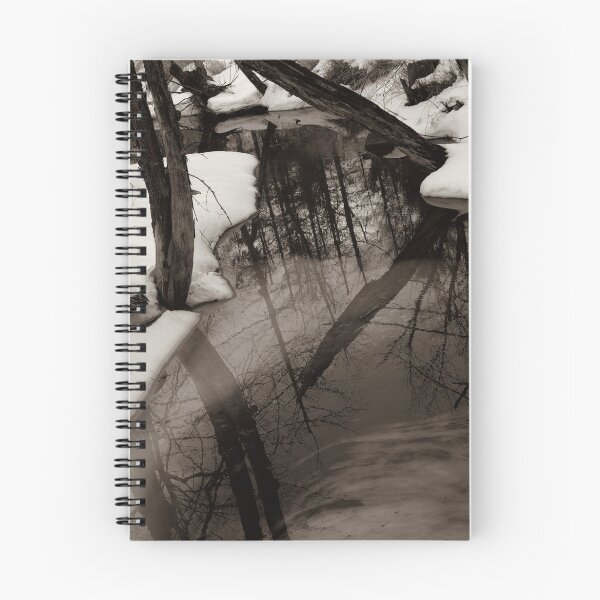Artikelvorschau, Winter Thaw entworfen und verkauft von Merritt Brown III.
