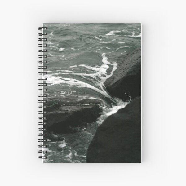 CLEANSING Spiral Notebook