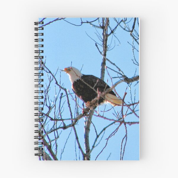 Item preview, Nature's Fisherman designed and sold by Bradley Sumner.