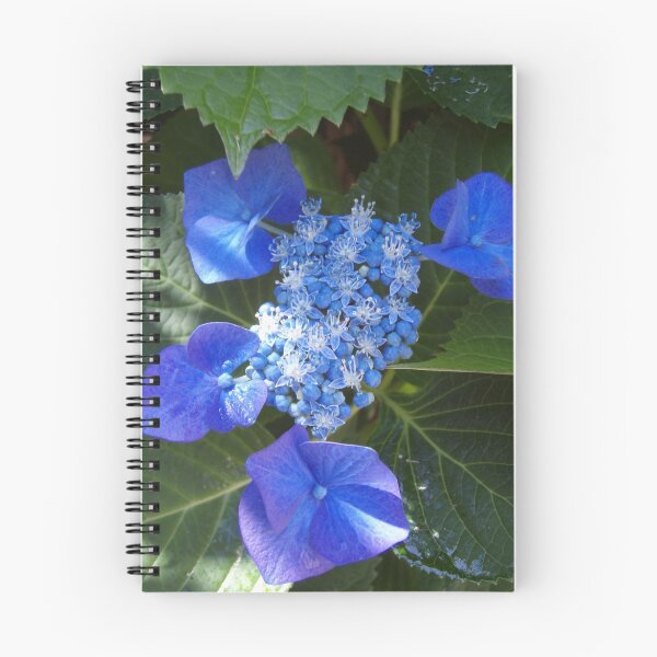 Item preview, blue hydrangea designed and sold by Gaylene Norton.