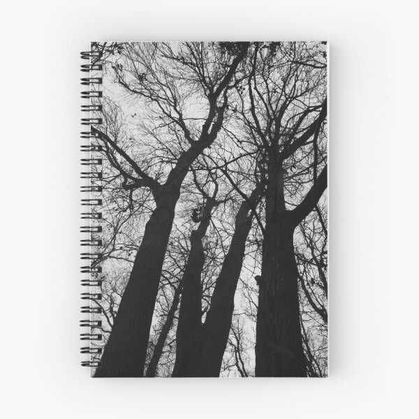 Item preview, Tall trees designed and sold by Justine Humphries.