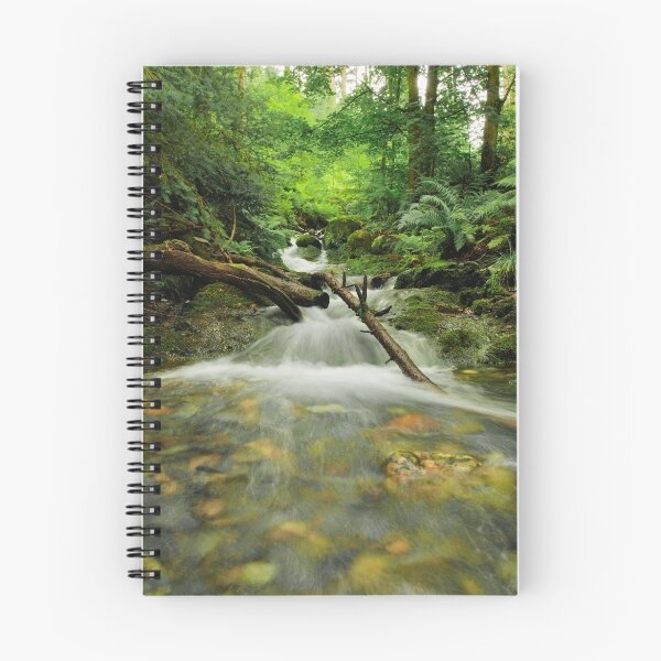 Item preview, Bassenthwaite Bound designed and sold by Richard Ion.