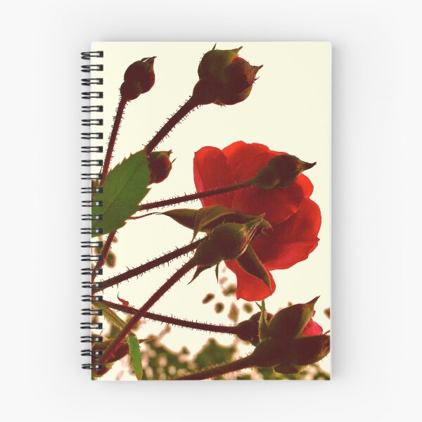 Item preview, Red Roses designed and sold by itchingink.