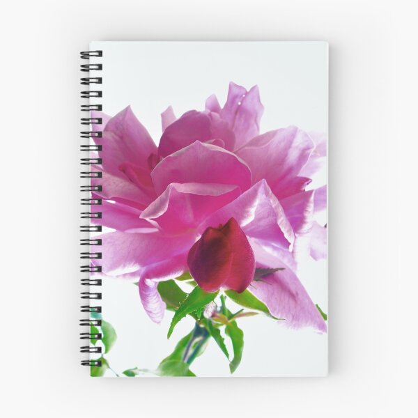 Aperçu de l'œuvre Des roses créée et vendue par itchingink.