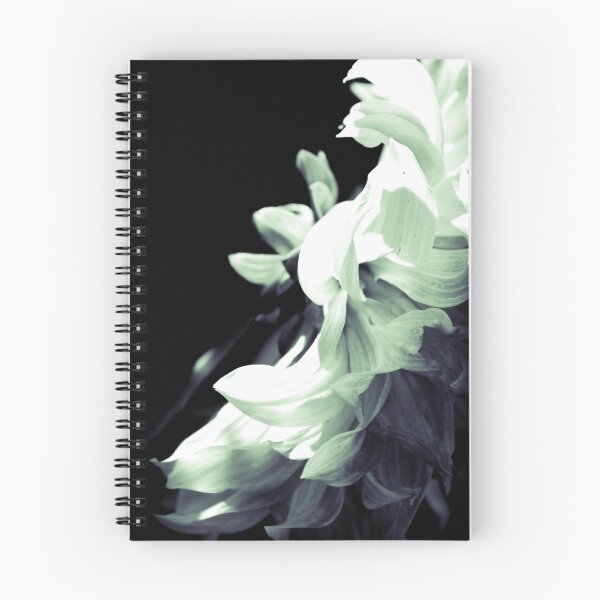 Item preview,  bañado por la luz del sol
.
.
.
.
.
! http: //images-2.redbubble.com/img/art/framecolor: black / framestyle: flat30 / mattecolor: off% 20white / product: framed-print / size: large / view: preview / 609382-1-fluffy -pink-bits.jpg!: http: //www.redb designed and sold by Belinda Fraser.