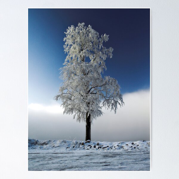 Item preview, frost in blue designed and sold by vanjuska.