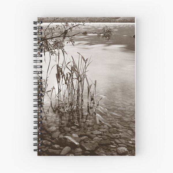 Item preview, Ullswater Reeds in mono designed and sold by Richard Ion.