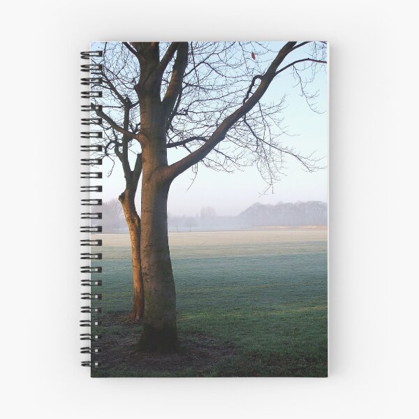 Item preview, A Misty Morning at the Oval. designed and sold by EdgeOfReality.