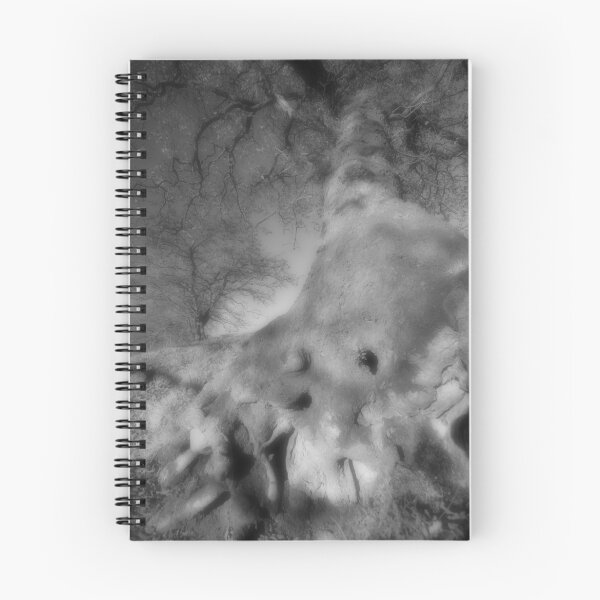 Item preview, Root to canopy: a mysterious world designed and sold by Richard Ion.