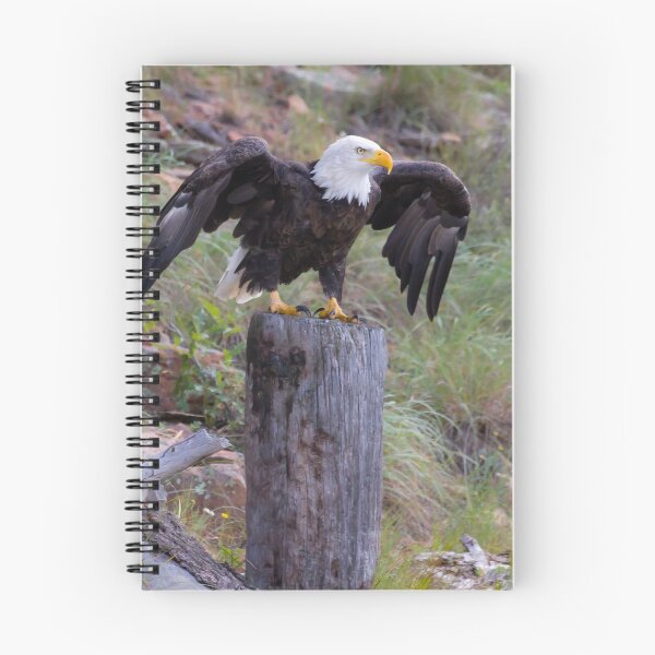 Item preview, Bald Eagle designed and sold by dazlm.