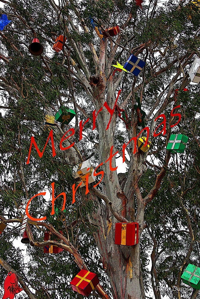 "Gumtree Christmas  Australia" by Ruth Durose  Redbubble