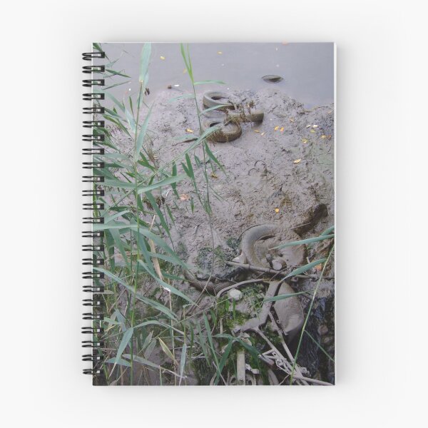 Item preview, Low Tide at Bow Creek. designed and sold by TimHatcher.