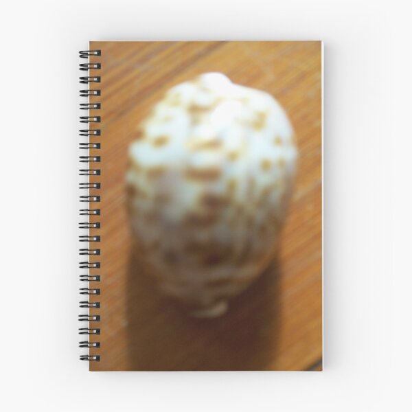 Item preview, Brown and White Shell designed and sold by karen66.