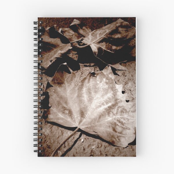 Item preview, Transición designed and sold by JennyLee.