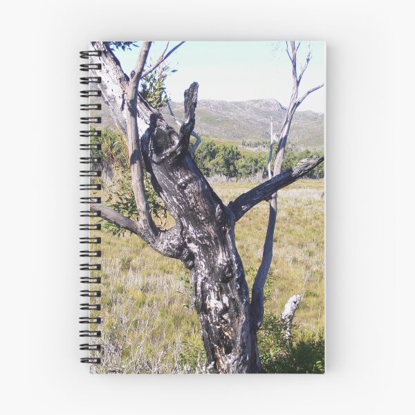 Item preview, "Pinocchio" tree - near Zeehan  designed and sold by Gaylene Norton.