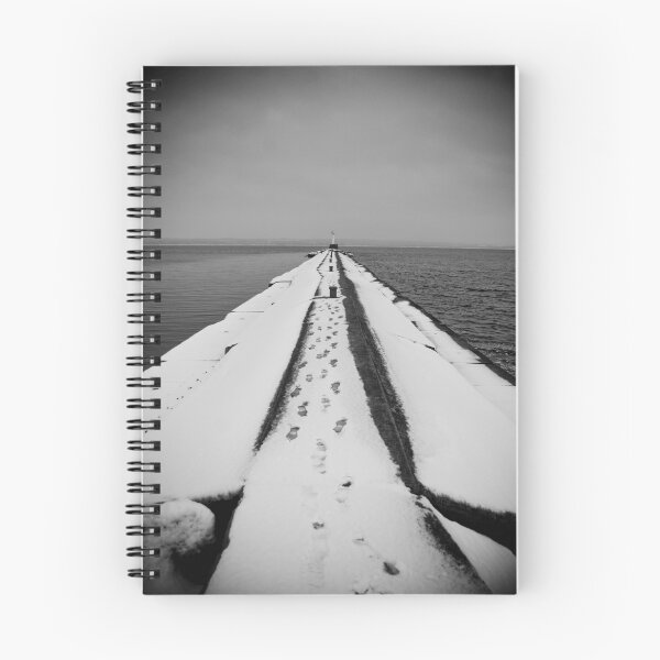 Aperçu de l'œuvre Petoskey Winter II créée et vendue par Justin Leveque.