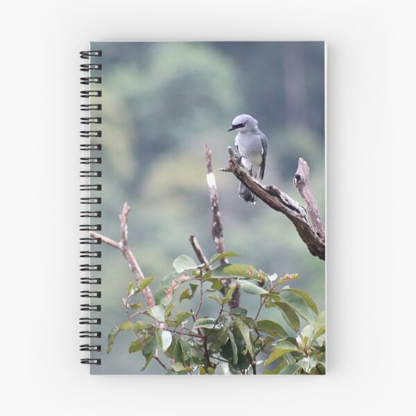 Item preview, White bellied cuckoo-shrike designed and sold by Sara Lamond.