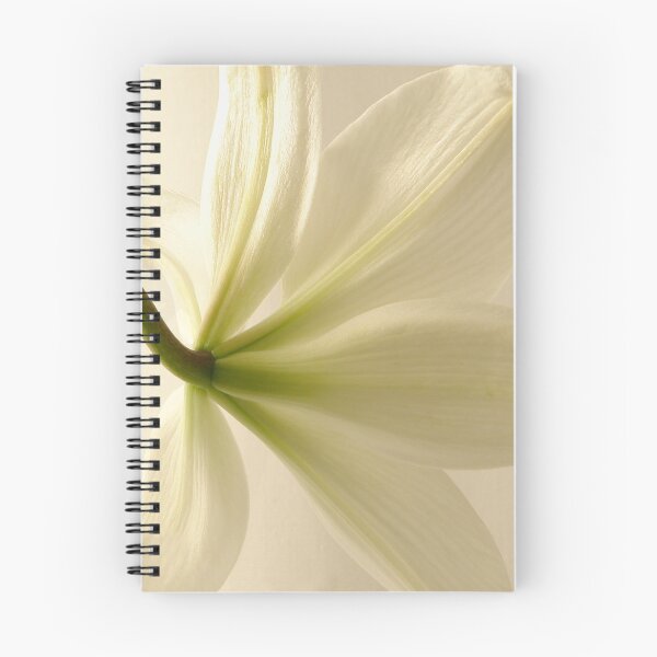 Item preview, Vista posterior de un lirio blanco. designed and sold by NKSharp.