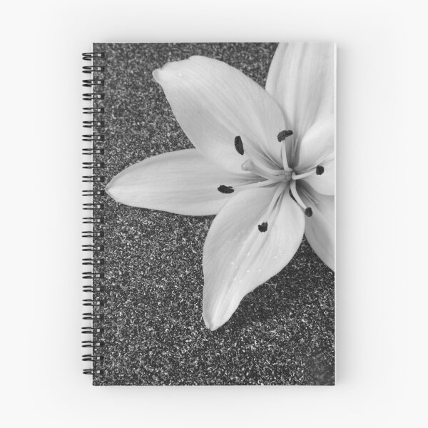 Aperçu de l'œuvre Black & White Lily créée et vendue par NKSharp.