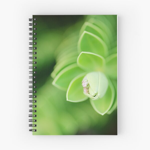 Item preview, Peek designed and sold by Natalia Campbell.