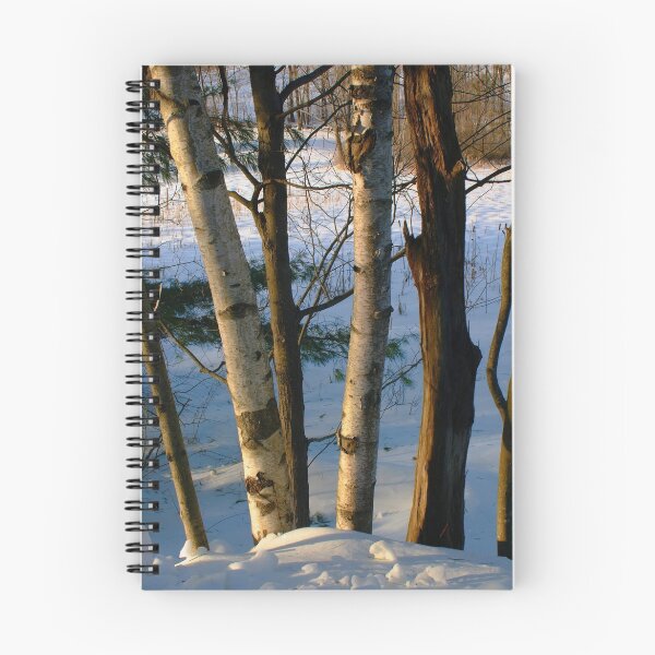 Item preview, N.H. Trees designed and sold by Merritt Brown III.