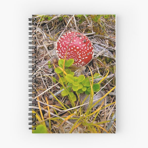 Item preview, Fly Agaric designed and sold by itchingink.