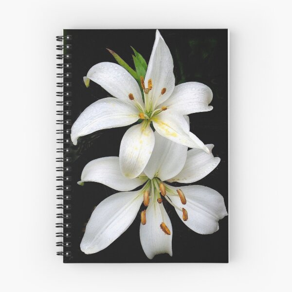 Item preview, Classic White designed and sold by Andi Hardwick.