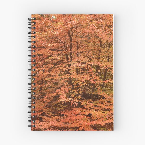 Item preview, Sequoia Fall Colors designed and sold by Ray Rozelle.