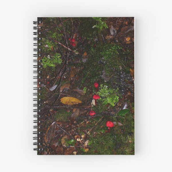 Item preview, lovely tiny red fungi in the bush floor -  at Waratah designed and sold by Gaylene Norton.