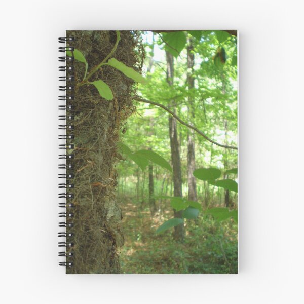 Artikelvorschau, Beyond The Trees entworfen und verkauft von MaryHelen.
