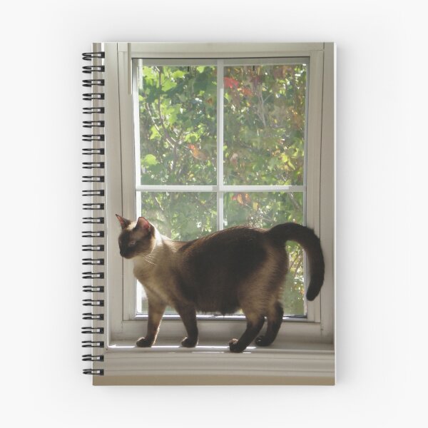 Item preview, Window Siamese designed and sold by MaryHelen.