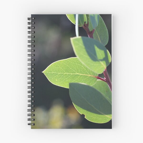 Item preview, Manzanita leaves designed and sold by Chris Clarke.