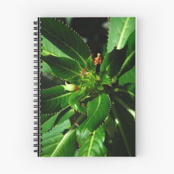 Item preview, macro green plant designed and sold by John Adulcikas.