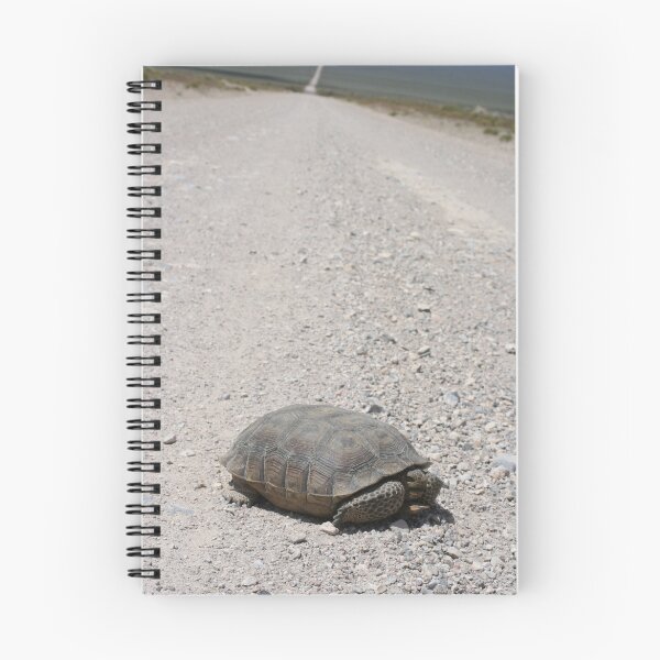 Item preview, Tortoise on the road designed and sold by Chris Clarke.