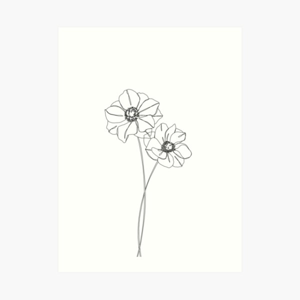 Botanical illustration line drawing - Anemones Art Print
