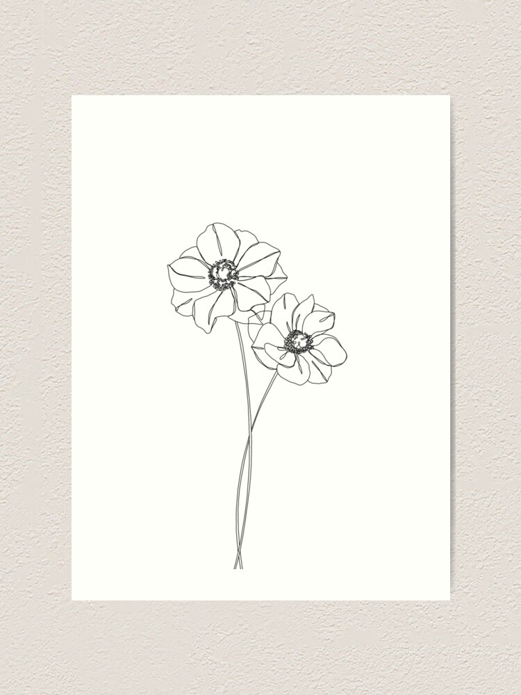 Botanical illustration line drawing - Anemones Art Print for Sale