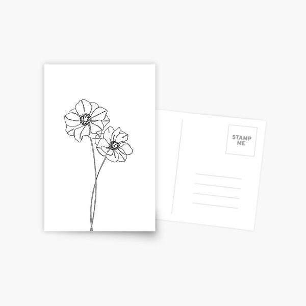 Botanical illustration line drawing - Anemones Postcard