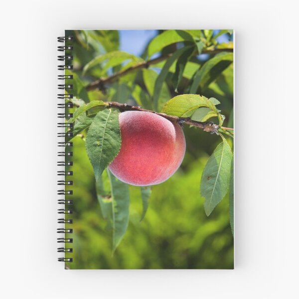 Item preview, Peachy designed and sold by John Robb.