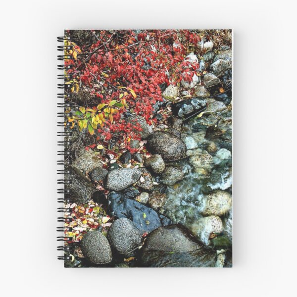 Item preview, Rock Creek Dreamin' designed and sold by Don Wright IPA.