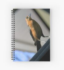Scavenger Spiral Notebook
