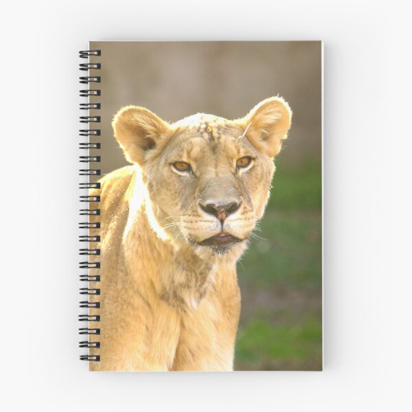Item preview, Lioness designed and sold by Lisa Putman.