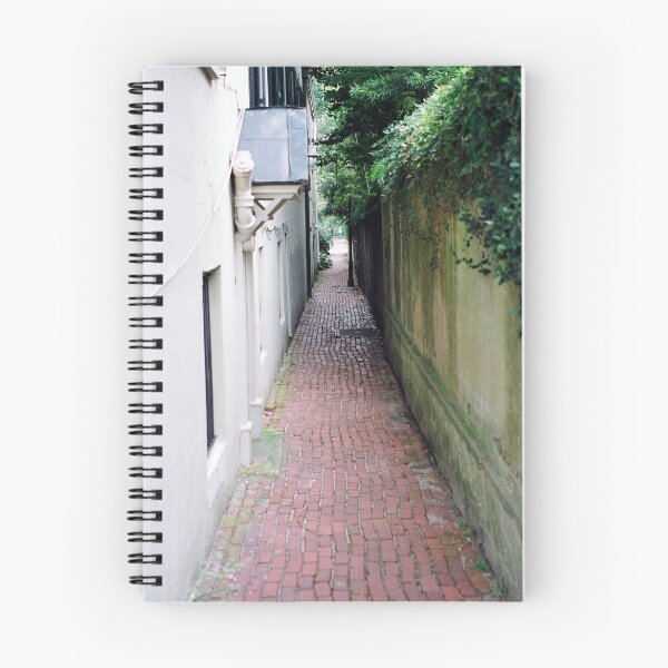 Item preview, Stolls Alley, Charleston, S.C. designed and sold by James J. Ravenel, III.