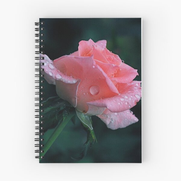 Item preview, Rose For Recovery designed and sold by Michele Duncan IPA.
