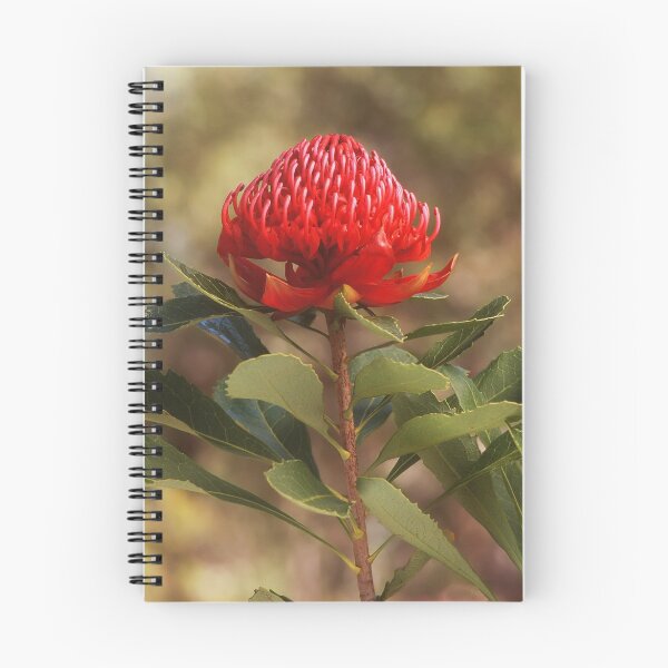 Item preview, Waratah designed and sold by ChrisRoss.