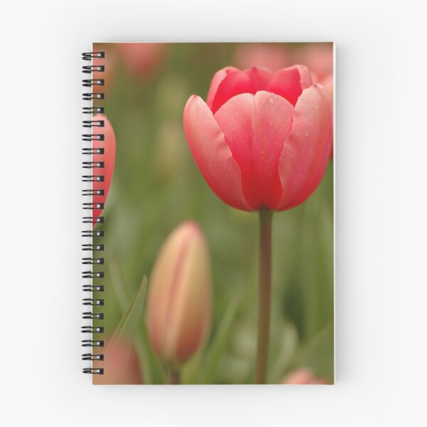 Item preview, Just Tulip designed and sold by Lorraine Deroon.