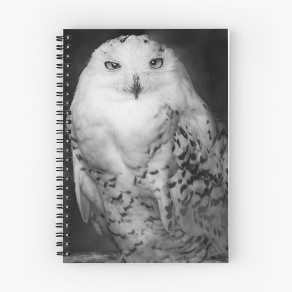 Artikelvorschau, Snowy Owl entworfen und verkauft von Moth.