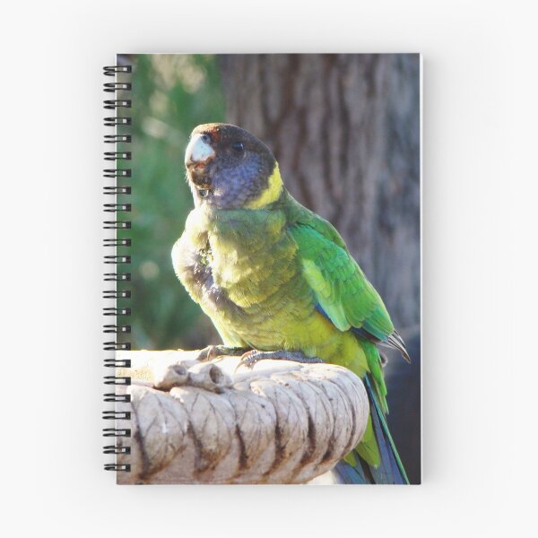 Artikelvorschau, Twenty Eight Parrot entworfen und verkauft von Rainbow Farm Photography.