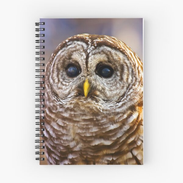 Item preview, Astute designed and sold by Cheri  McEachin.