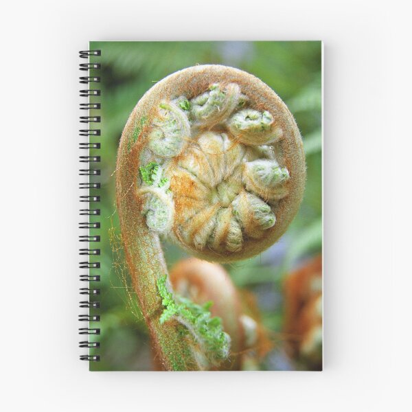 Item preview, Fern Frond designed and sold by Travis Easton.